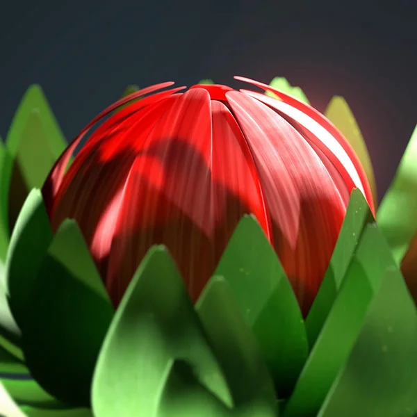 Botanical Detail 2