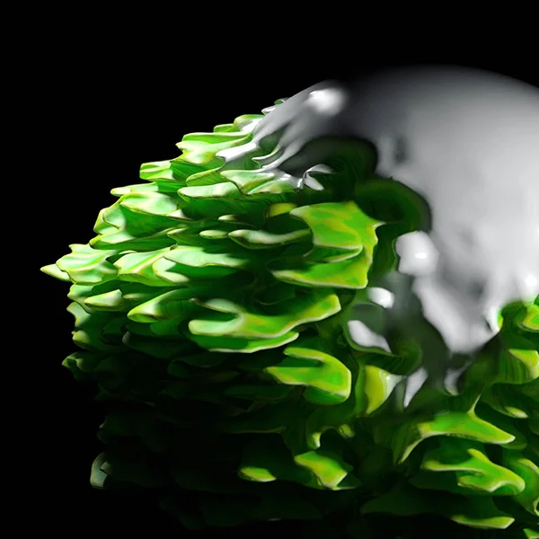 Botanical Detail 6