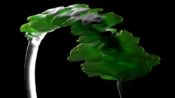 Procedural Mushroom Landscape