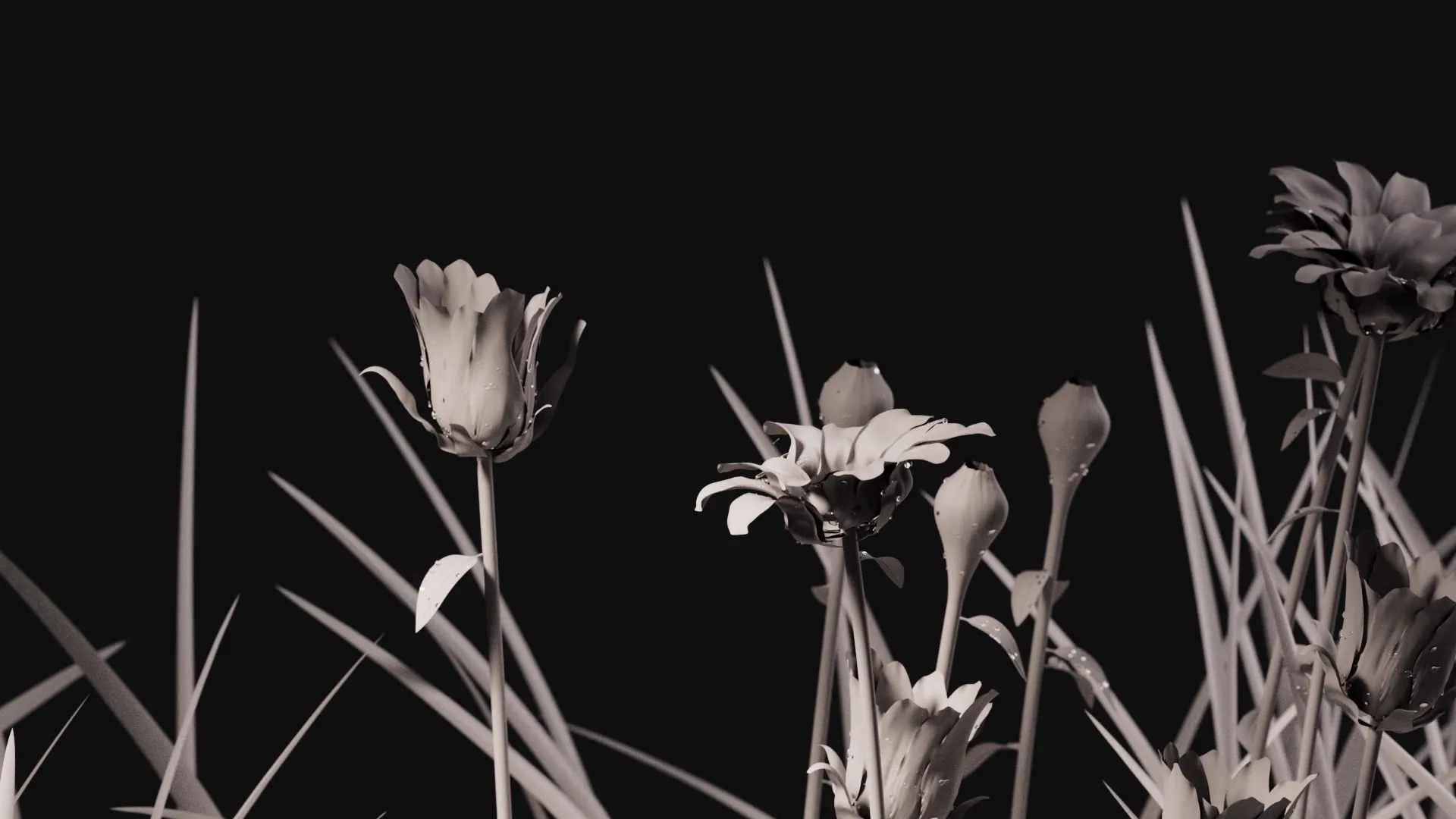 Thin Cloth Petals