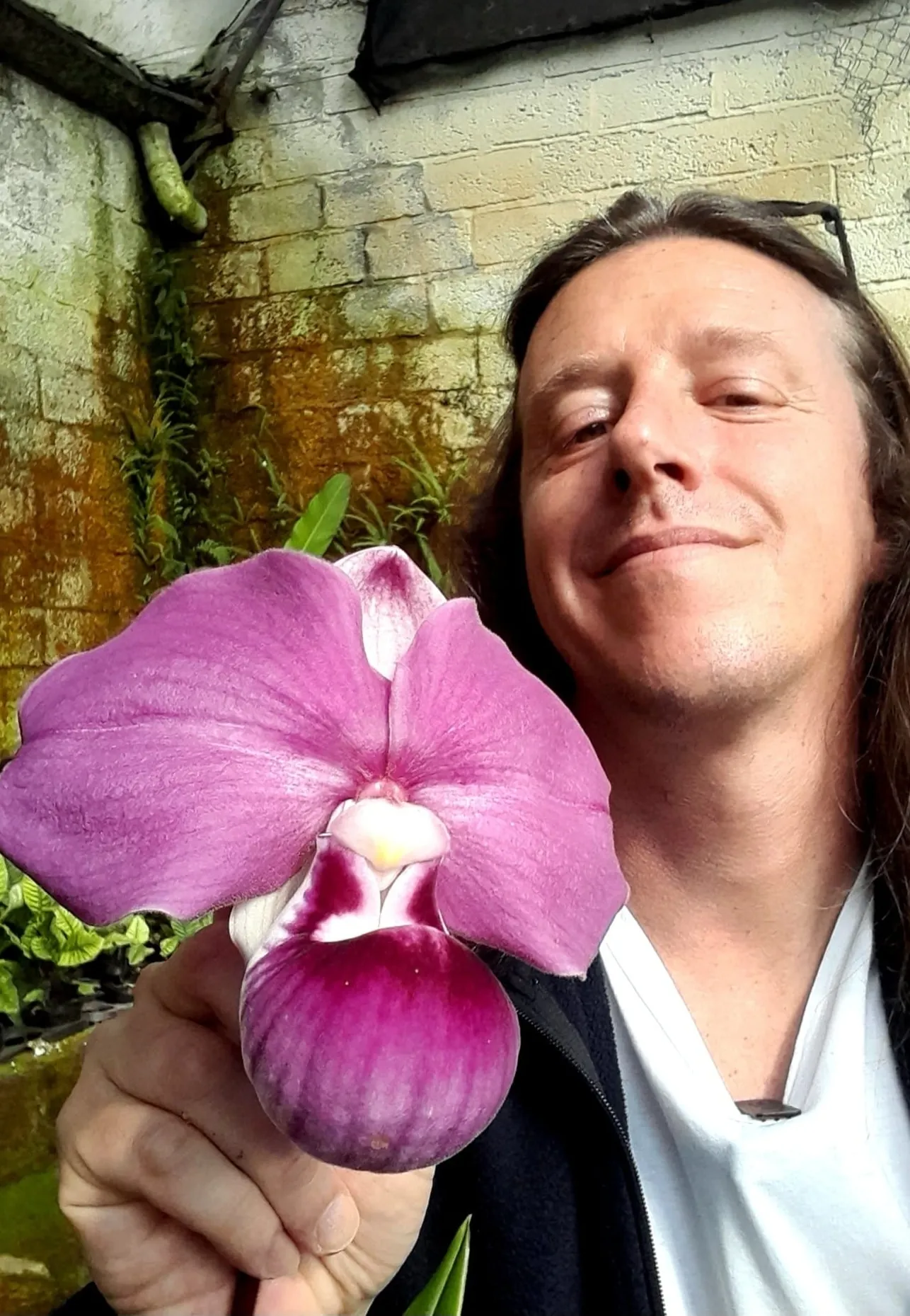Alessandro Valenza Profile