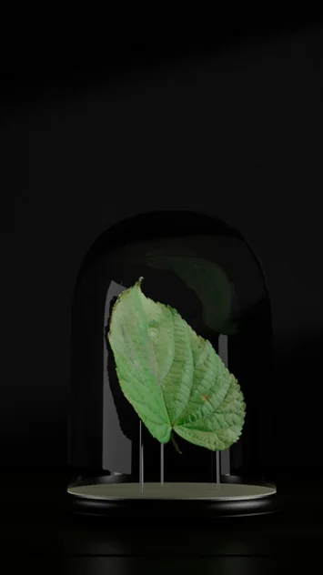 Volumetric Light Beam Frame B