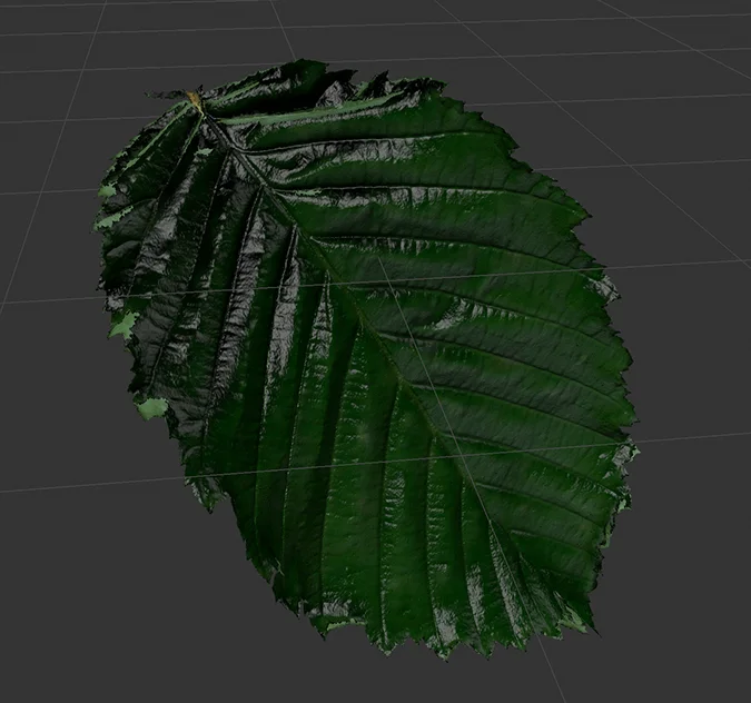 Photogrammetry Texture Scan
