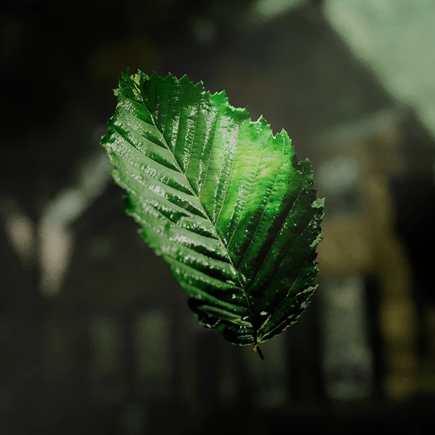 Van Gogh Leaf Cloche Still Study