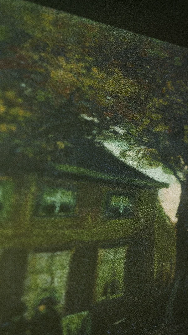 Van Gogh The Potato Eaters Projected on Falling Leaf